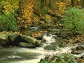 Фотография Аброчновой Ирины