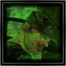 Фотография Дубровина Александра