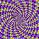 Еж Колючий фотография #2 (источник - https://vk.com/id4208335)