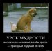  фотография #30