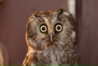 Фотография Кузнецова Михаила