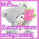 Фотография Медведев Слава