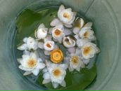 Фотография Ярового Александра