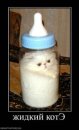 Хэй _куликов_ фотография #27 (источник - https://vk.com/id63813271)