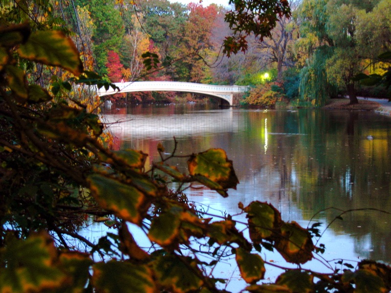 Софья Калиненко фотография #23