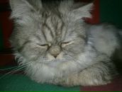 Фотография Юрьевича Андрея