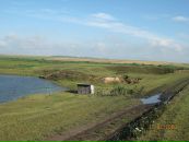 Віталій Питлик фотография #28 (источник - https://vk.com/id22440827)