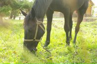 Борис Барков фотография #23 (источник - https://vk.com/id4272429)