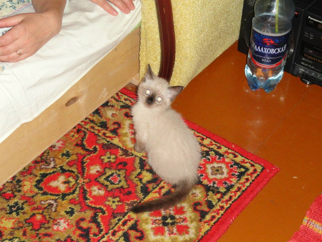 Стас Олейник фотография #33