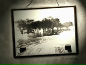 Фотография Сатуровой Эллины