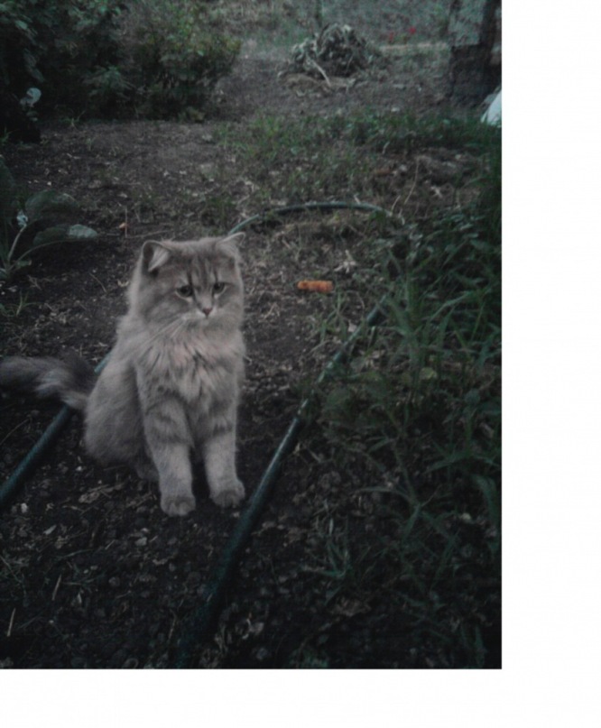 Евгений Просто фотография #12