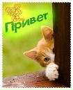 Анна-марія Крохмальна фотография #8 (источник - https://vk.com/id85388605)
