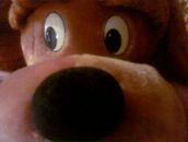 Фотография Владимировой Вероники