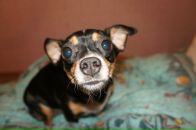 Фотография Артёмов Александр