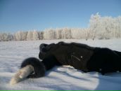 Фотография Бонькин Владимир