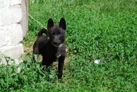 Вероніка Попозогло фотография #20 (источник - https://vk.com/id74244264)