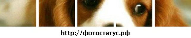 Ксенія Федорій фотография #28 (источник - https://vk.com/id85191373)