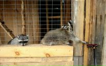 Фотография Плотицына Петра