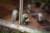 Дарья Горячева фотография #34 (источник - https://vk.com/id209705)