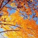 Євгенія Пісцо фотография #22 (источник - https://vk.com/id127833889)