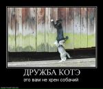 Андрій Іванів фотография #26 (источник - https://vk.com/id65838180)