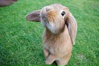 Фотография Волковой Юльчик