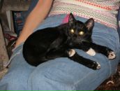 Андрій Дацюк фотография #44 (источник - https://vk.com/id27747637)