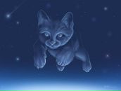 Фотография Шарафиевой Лены