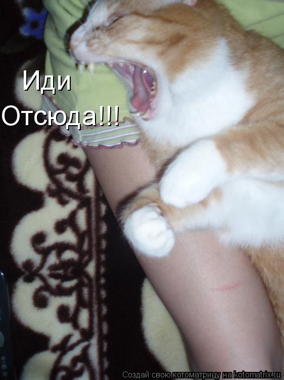 Марк Сергеевич фотография #9