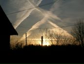 Антон Кропачев фотография #25 (источник - https://vk.com/id2206468)