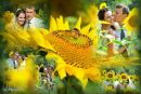 Андрій Федорчук фотография #22 (источник - https://vk.com/id20844024)