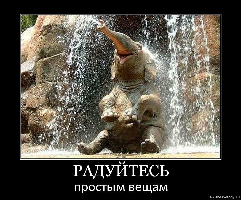 Вамана Плотников фотография #20