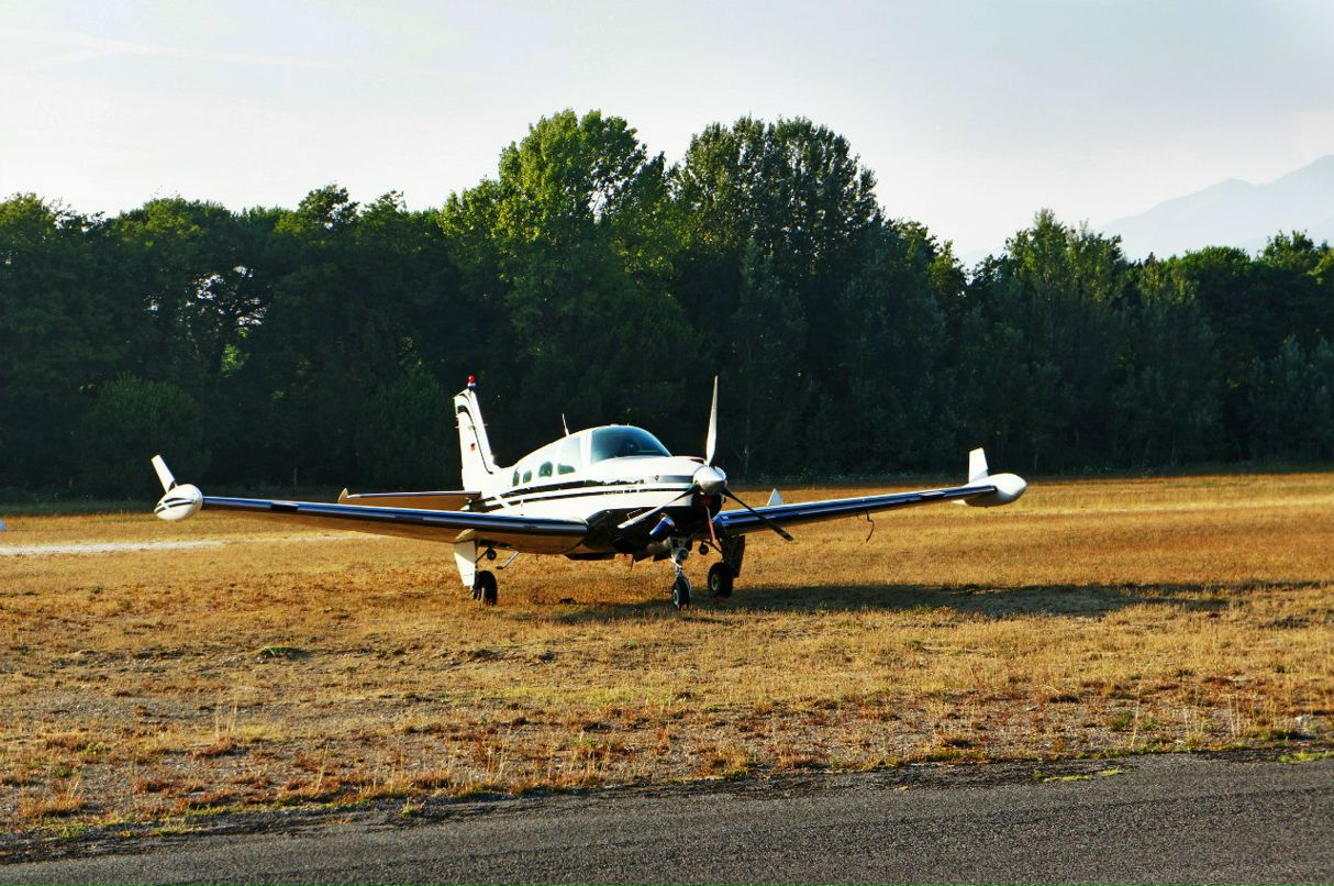 Misha Ross фотография #11