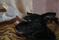 Фотография Мануиловой Марины