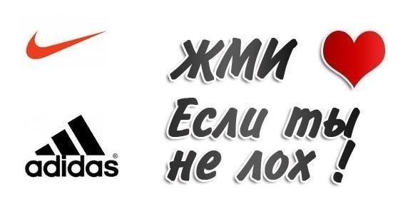 №4, Саша Грот №4, Саша Грот