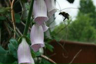 Фотография Иванского Антона