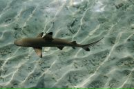 Фотография Климкиной Ирины