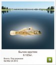 Віта Шматко фотография #44 (источник - https://vk.com/id156132848)