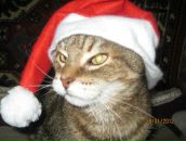 Фотография Соловьева Максима