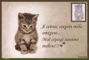 Юлясік Ярмолюк фотография #50 (источник - https://vk.com/id153793532)