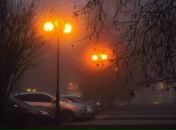 Евгений Савин фотография #40 (источник - https://vk.com/id5156621)