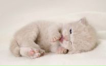 Фотография Ушаковой Ольги