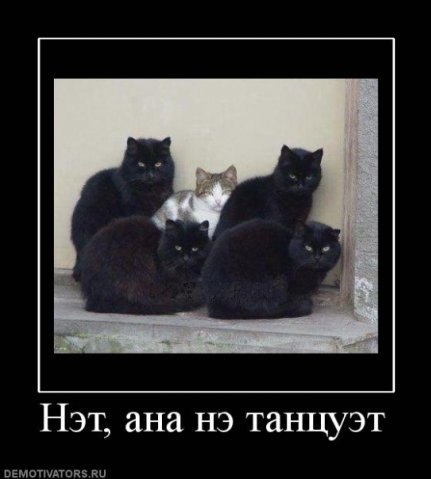 №5, Владимир Бобров №5, Владимир Бобров