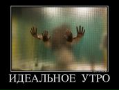 Игорь Калашников фотография #19 (источник - https://vk.com/id960434)