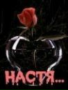 Анастасія Карнаух фотография #12 (источник - https://vk.com/id151588863)