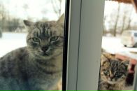 Денис Хашковский фотография #20 (источник - https://vk.com/id2177619)