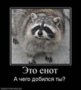 Іван Бровкін фотография #3 (источник - https://vk.com/id129781638)
