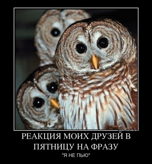 Антон Гоманчук фотография #44