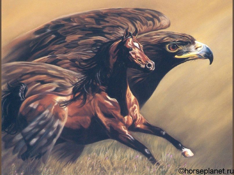 Аян Лундуп фотография #25