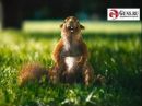 Фотография Казакова Миши